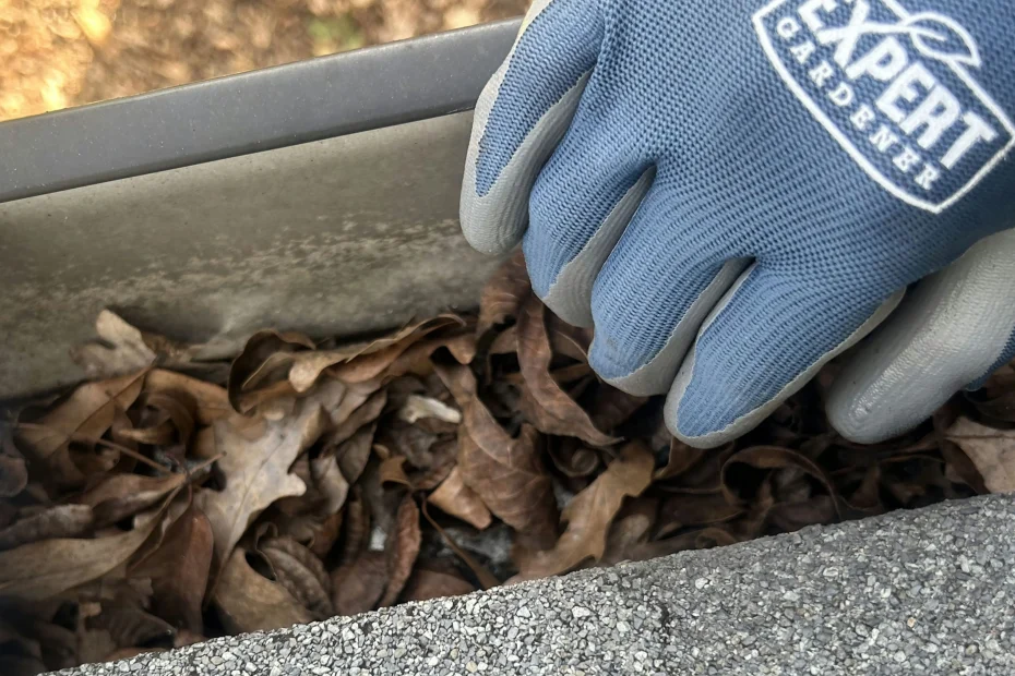 Gutter Cleaning Sellersburg